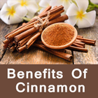 Benefits of Cinnamon icon