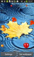 Autumn Live Wallpapers اسکرین شاٹ 3