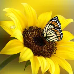 Schmetterling Live-Wallpaper