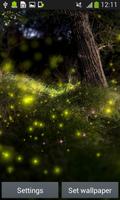 Fireflies Live Wallpapers poster