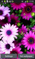 Flowers Live Wallpapers اسکرین شاٹ 1