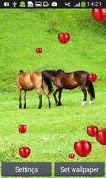 paarden wonen wallpapers screenshot 1