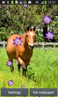 chevaux vivent fonds d'écran capture d'écran 2