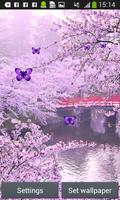 برنامه‌نما Sakura Live Wallpapers عکس از صفحه