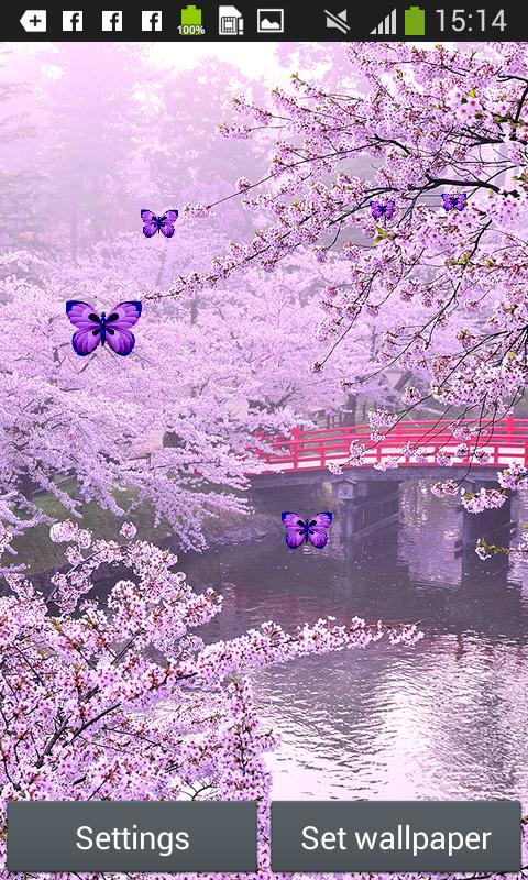 92 Gambar Wallpaper Pemandangan Bunga Sakura Terbaik 92 Gambar Wallpaper Pemandangan Bunga Sakura Terbaik