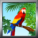 APK Bird Ringtones Prank