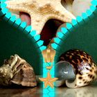 Seashells Zipper Lock Screen أيقونة