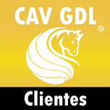CAV icon