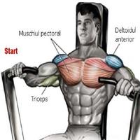 Gym Sports Exercise اسکرین شاٹ 3