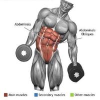 Gym Sports Exercise اسکرین شاٹ 1