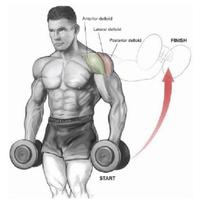 Gym Sports Exercise اسکرین شاٹ 2