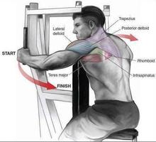 پوستر Bodybuilding Muscle Exercises