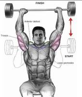 Bodybuilding Muscle Exercises captura de pantalla 1