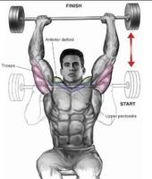 برنامه‌نما Bodybuilding Muscle Exercises عکس از صفحه