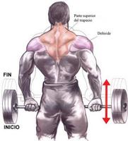 Bodybuilding Muscle Exercises captura de pantalla 2