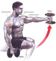 Bodybuilding Muscle Exercises captura de pantalla 3