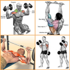 Bodybuilding Muscle Exercises Zeichen