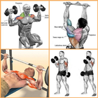 Bodybuilding Muscle Exercises icon