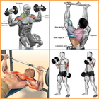 Мышцы тела Упражнения иконка