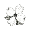 Dogwood Lawns