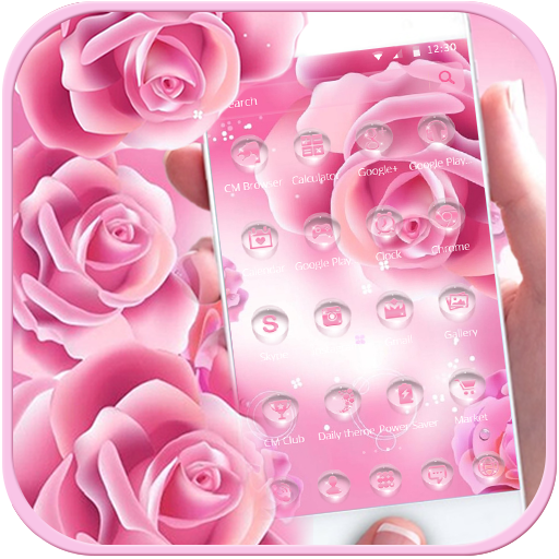 Розовые розы тему pink rose