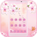 Pink Sakura Blossom Theme APK