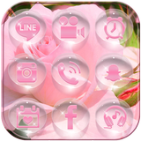 Pink Rose dewdrop theme icône