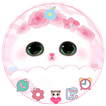 Lindo Gatito Tema gato Cute Kitty