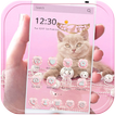 Pink Kitty Theme Rose Gold Kitty