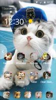 Cat theme-Cute,Adorable,Lazy Poster