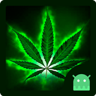 Weed Rasta Launcher Theme icône