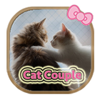 Lovely Cat couple theme icon