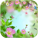 Blüte Blume Thema Blumengarten APK