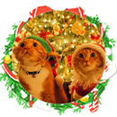 Christmas cute cat gold theme APK