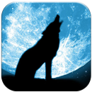 狼主题+夜空高清桌布 APK