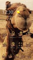 Camel theme animal Affiche