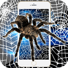 Spider Theme Black White Cobweb Full Of Cracks icône