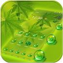 Maple leaf green dew Theme APK