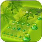 Maple leaf green dew Theme icon