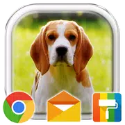 Beagle Puppy Adorable Theme