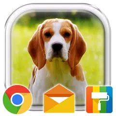 Beagle Puppy Adorable Theme APK download