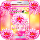 Beautiful Pink Lotus Theme APK