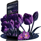 Purple Tulip Flower Theme icône