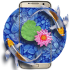 Motyw Koi Fish Launcher ikona