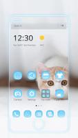 پوستر Cat Theme Blue