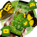 green beauty butterfly theme DIY wallpaper