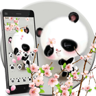 Cuteness Shy Panda Theme আইকন