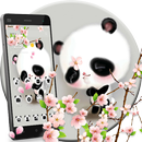 Cuteness Shy Panda Theme APK