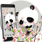 Cuteness Shy Panda Theme иконка