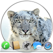 Snow Leopard Theme